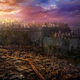 Illustration for article titled Are Cities Evolving Into Hive Organisms?